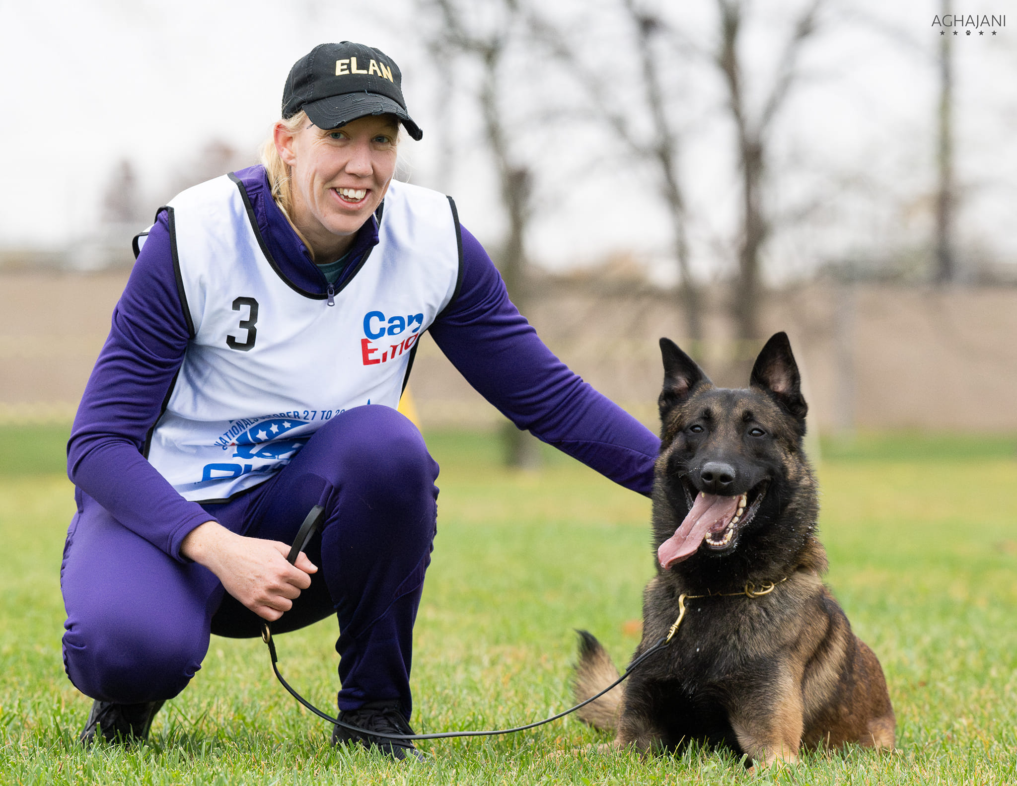 dog training in washington dc dog training in washington dc